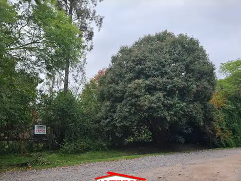 Villa Rosa