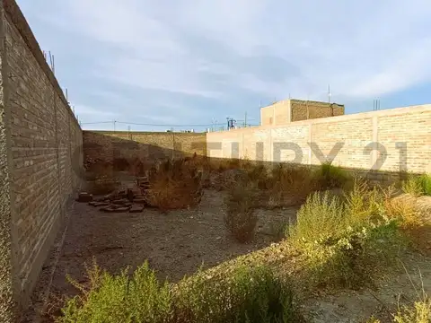 Boulogne sur mer 100, Piso 0