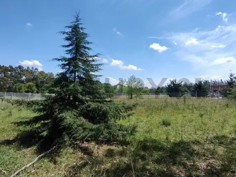 433 esquina 210 S/N , Piso 0