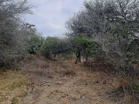 Vendo Terreno De 1.683 M2 En Charbonier