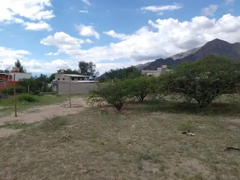 Terreno en Venta de 300,0 m2