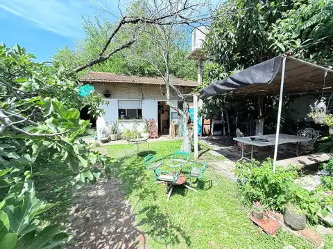 Ombu 1028