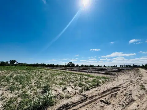 Venta Finca en producción 48,28has, San Martin