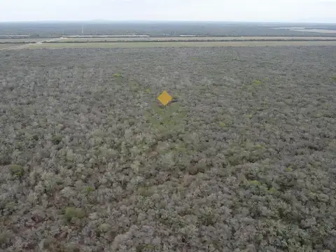 Campo Agrícola en Venta en Embarcación
