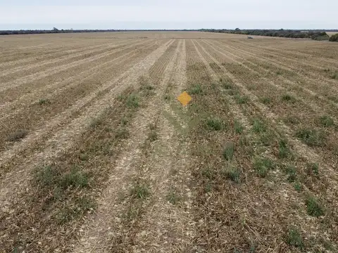Campo Agrícola en Venta en Embarcación