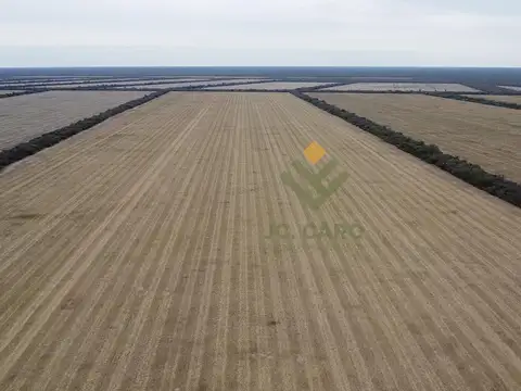 Campo Agrícola en Venta en Embarcación