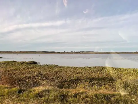 LAGUNA DE LOS CISNES 100