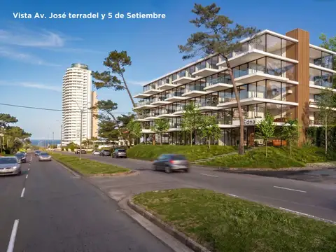 Avenida José Terradel 100