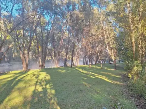 palmares del delta 100