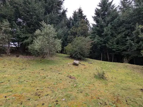 Terreno en Venta de 992,0 m2