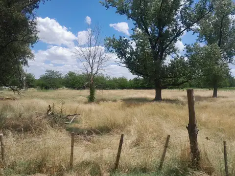 VENTA CAMPO GENERAL RODRIGUEZ