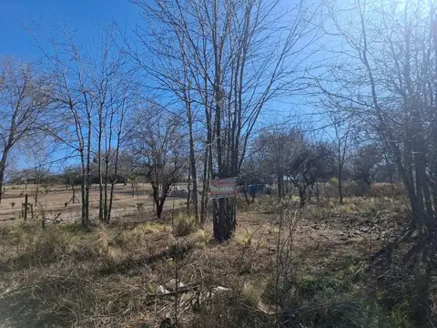 Terreno en Venta 52  mts Fondo