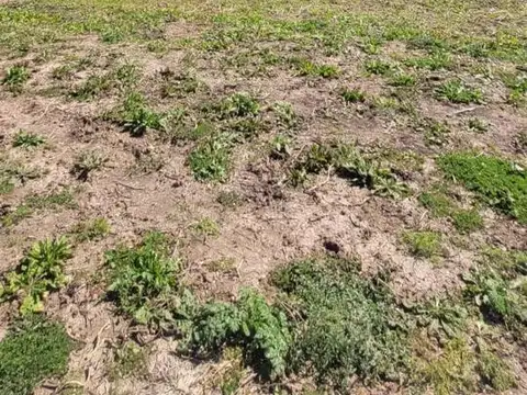 Terreno en Venta en La Posta, USD 47.500
