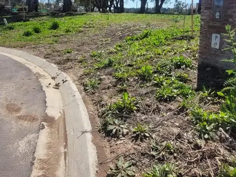 Oportunidad Terreno en La Posta Pilar