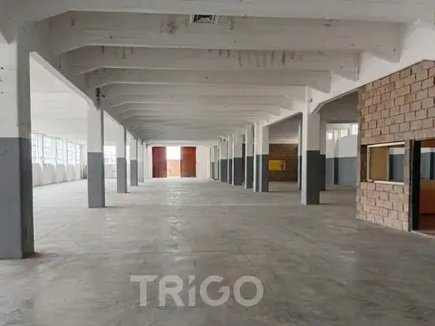 Martín Rodríguez al 100