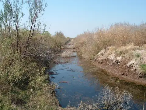 Campo en Resolana 1887 Has a 31km de San Rafael