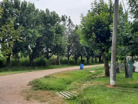 Campo en Venta de 1,33  ha