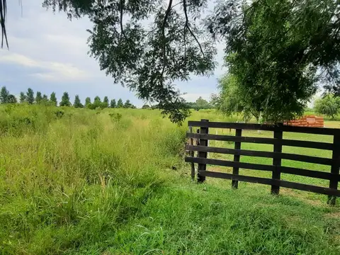 Campo en Venta de 1,33  ha