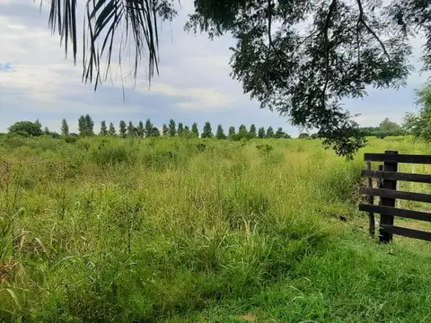 VENDO SALADERO MARIANO CABAL 1,33 HECTAREAS SOBRE RUTA 1 (ZONA URBANA)