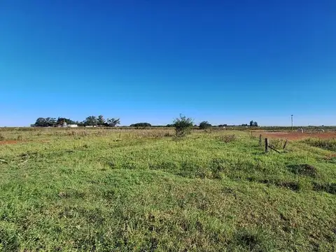 CAMPO EN VENTA EN GUERRICO