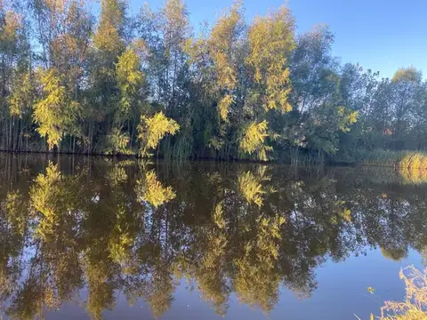 PUERTOS ACACIAS 1200