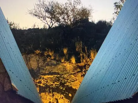 Bienvenido