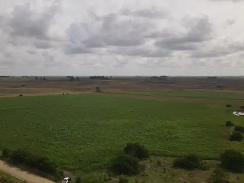CAMINO  PASO CALLEROS 100