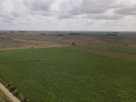 Campo en venta de 150 ha Agrícola Ganadero en Florida
