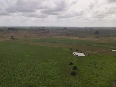 CAMINO  PASO CALLEROS 100