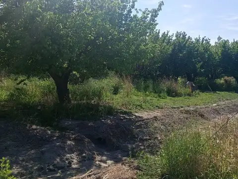 Terreno en Venta en Las Catitas, USD 55.000
