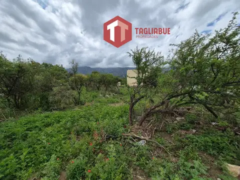 Terreno en Venta en Barranca Arriba, USD 35.000