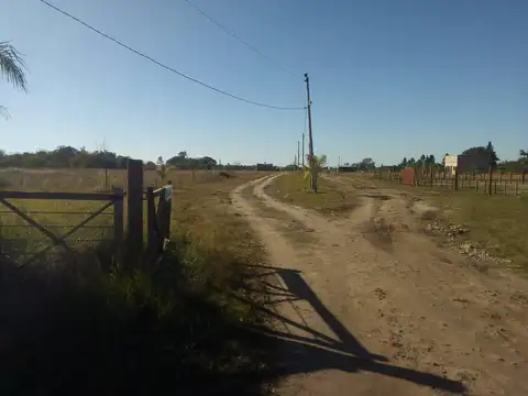 Arroyo Vega