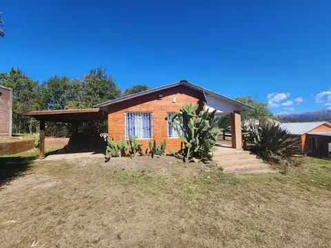 LOS PINOS YACANTO 100