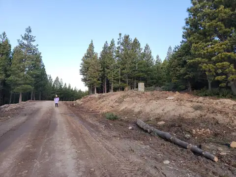 Ruta 40 km 2227, San Martin de Los Andes