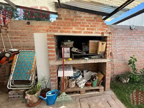 Lusitano y Juan Manuel Fangio