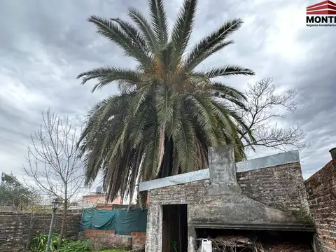 Rocamora 1416