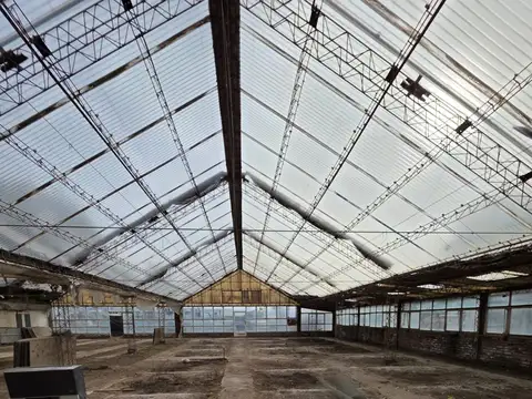Alquiler Predio Industrial / Comercial - Lastra 3800