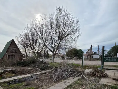 Terreno en Alquiler de 3800,0 m2