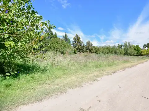 Terreno en Venta de 563,0 m2