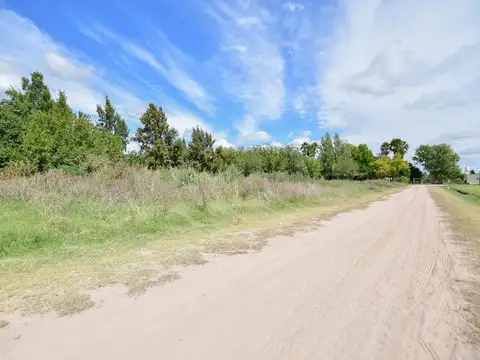 134 e/ 489 y 490 100