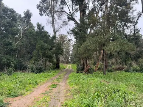 Terreno en Venta de 1059,0 m2
