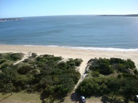 Rambla Williman 100
