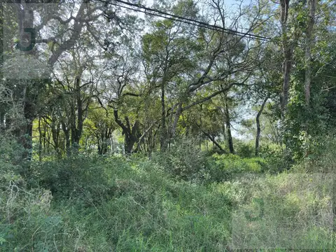 Terreno en Colonia Benitez