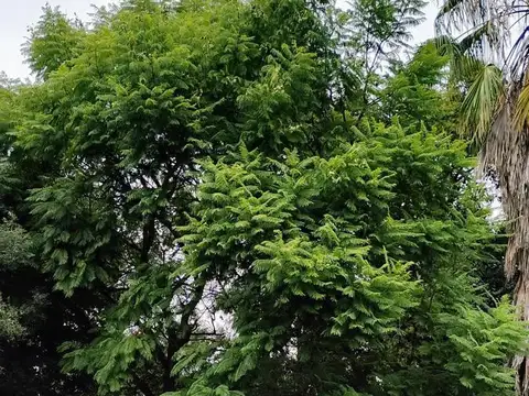 VENTA 2 LOTES PARQUIZADOS EN PARQUE LELOIR