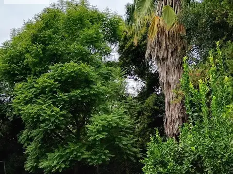 Terreno en Venta de 654,0 m2