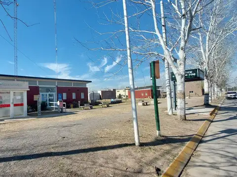 Camino de la Legua 220