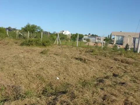 De Las Palmeras - Villa California S/n