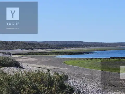 Peninsula de Valdés