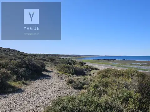 Peninsula de Valdés