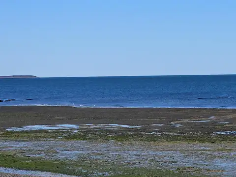 Oportunidad en Península de Valdés, Estancia con costa de Mar